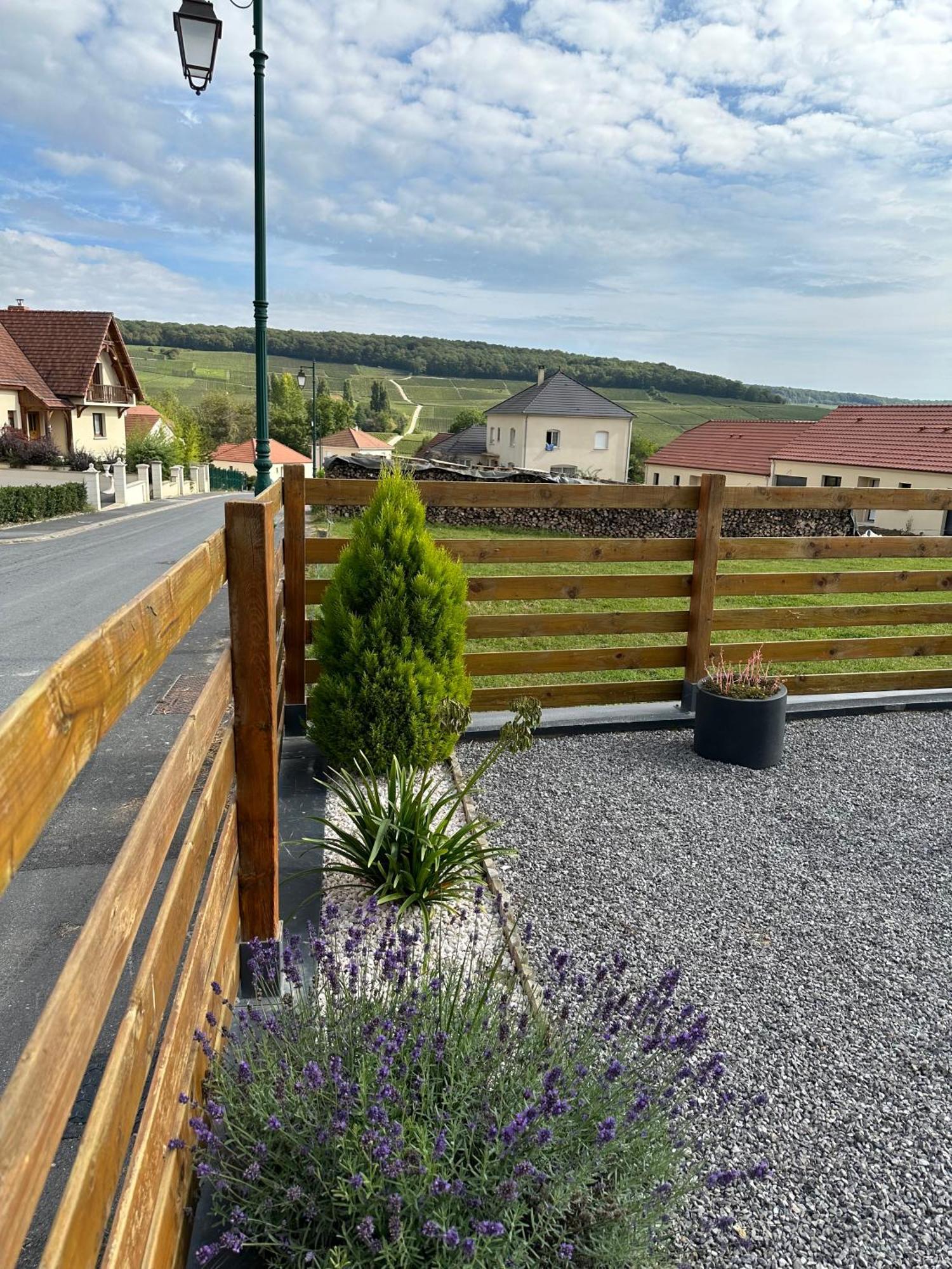 Fleury-la-RiviereChez Celia, Roulotte En Champagne别墅 外观 照片